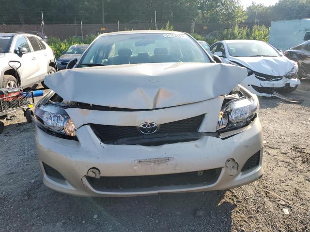 2T1BU4EE6AC293662 - 2010 TOYOTA COROLLA BASE 奶油色 照片 5