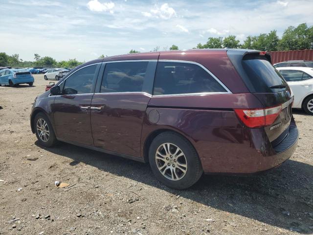 5FNRL5H68CB030549 - 2012 HONDA ODYSSEY EXL 勃艮第红 照片 2