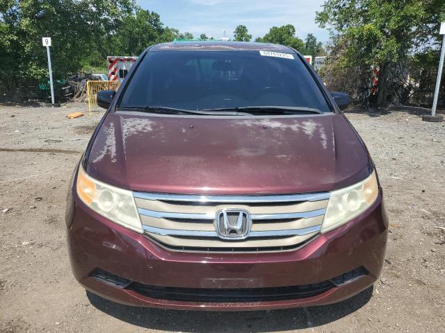 5FNRL5H68CB030549 - 2012 HONDA ODYSSEY EXL 勃艮第红 照片 5