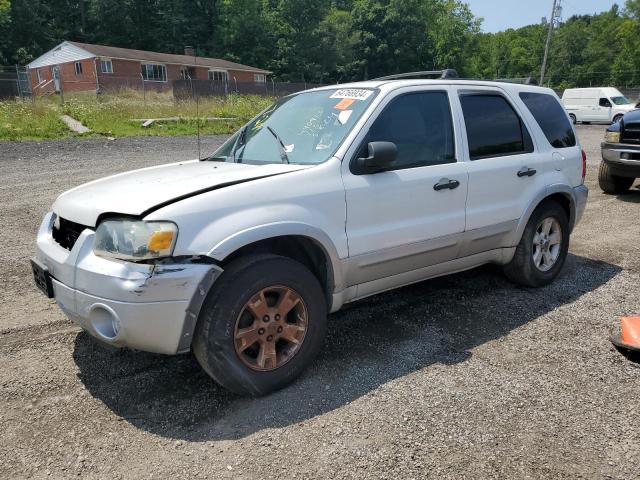 1FMYU03137KA25397 - 2007 FORD ESCAPE XLT WHITE photo 1