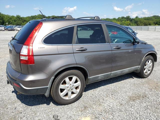 5J6RE38749L005431 - 2009 HONDA CR-V EXL GRAY photo 3