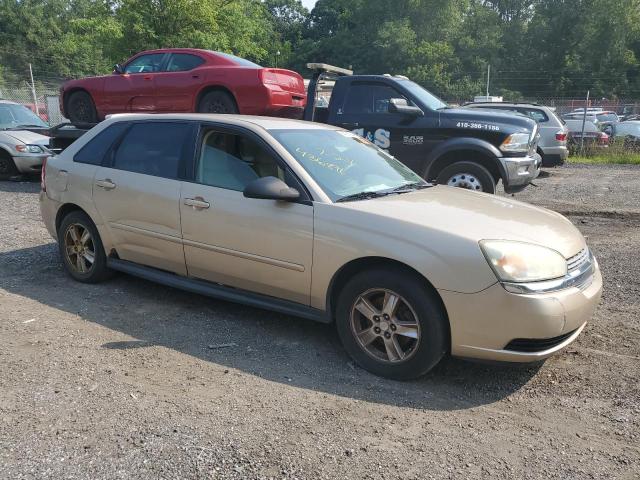 1G1ZT62855F115596 - 2005 CHEVROLET MALIBU MAXX LS 金色 照片 4