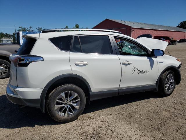 JTMRJREV7HD104194 - 2017 TOYOTA RAV4 HV LE Weiß Foto 3