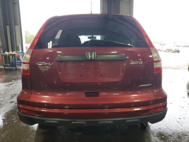 5J6RE4H41BL036590 - 2011 HONDA CR-V SE RED photo 6