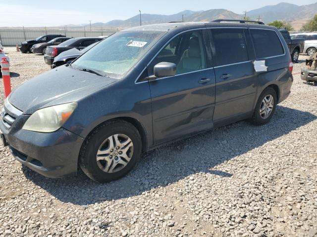 5FNRL38625B029193 - 2005 HONDA ODYSSEY EXL TEAL photo 1