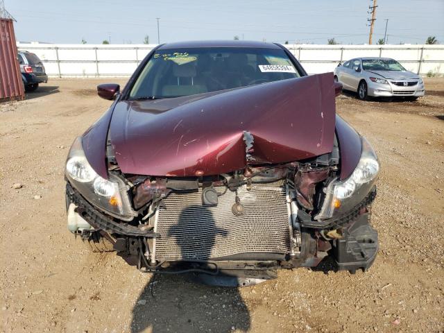 1HGCP2F48AA174040 - 2010 HONDA ACCORD LXP BURGUNDY photo 5