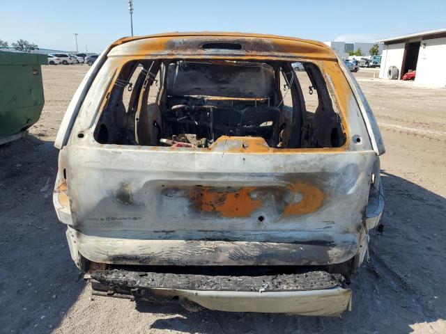 1C4GP45R34B561893 - 2004 CHRYSLER TOWN & COU 烧焦的 照片 6