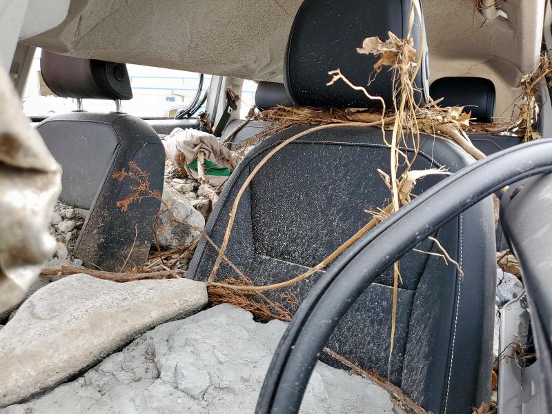 3VV3B7AX6RM065295 - 2024 VOLKSWAGEN TIGUAN SE Սպիտակ լուսանկար 10