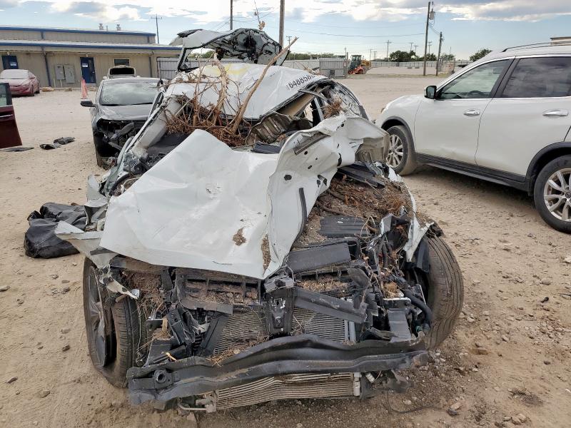 3VV3B7AX6RM065295 - 2024 VOLKSWAGEN TIGUAN SE Սպիտակ լուսանկար 5