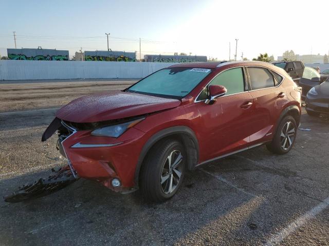 JTJGJRDZ1L5004166 - 2020 LEXUS NX 300H BURGUNDY photo 1