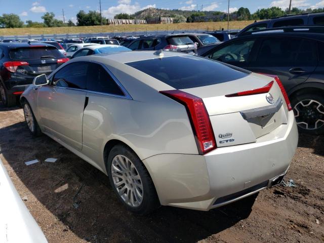 1G6DJ1E37D0110804 - 2013 CADILLAC CTS PERFORMANCE COLLECTION GOLD photo 2