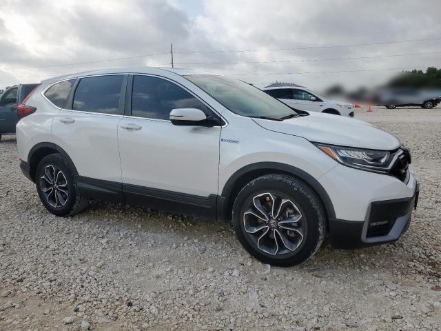 7FART6H55LE008932 - 2020 HONDA CR-V EX 白色 照片 4