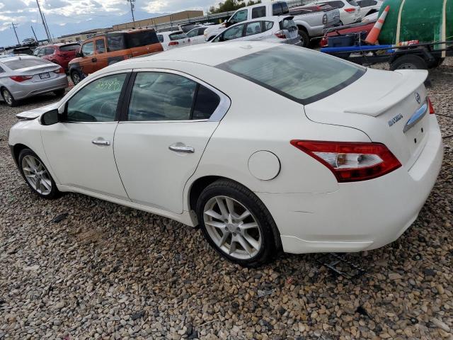 1N4AA5APXAC831649 - 2010 NISSAN MAXIMA S WHITE photo 2