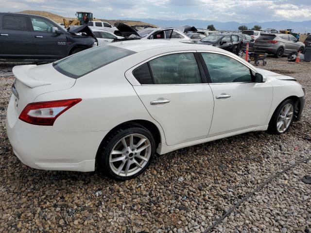 1N4AA5APXAC831649 - 2010 NISSAN MAXIMA S WHITE photo 3