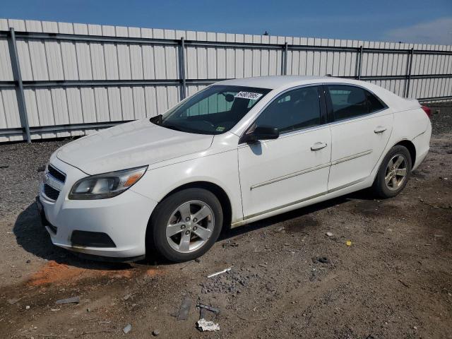 1G11B5SA6DF219512 - 2013 CHEVROLET MALIBU LS 白色 照片 1