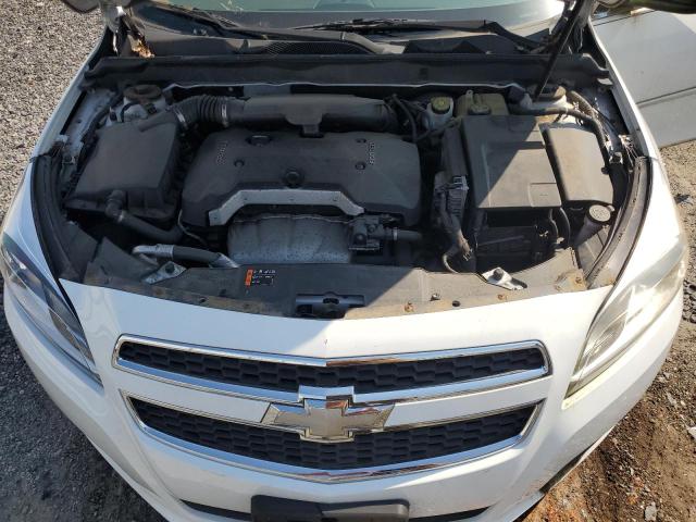 1G11B5SA6DF219512 - 2013 CHEVROLET MALIBU LS 白色 照片 11