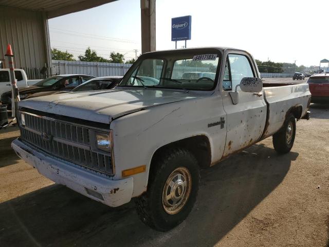 2GCGC24M6B1135862 - 1981 CHEVROLET C20 WHITE photo 1