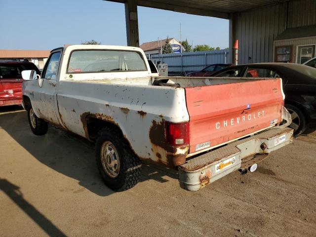 2GCGC24M6B1135862 - 1981 CHEVROLET C20 WHITE photo 2