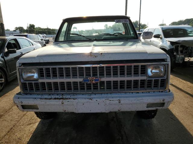 2GCGC24M6B1135862 - 1981 CHEVROLET C20 WHITE photo 5