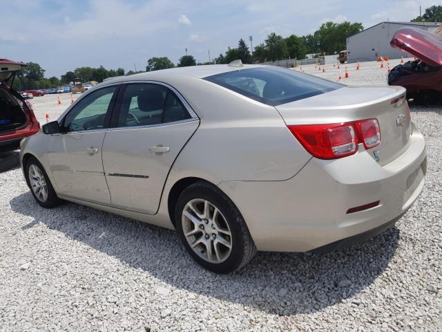 1G11C5SL9EF301508 - 2014 CHEVROLET MALIBU 1LT 金色 照片 2