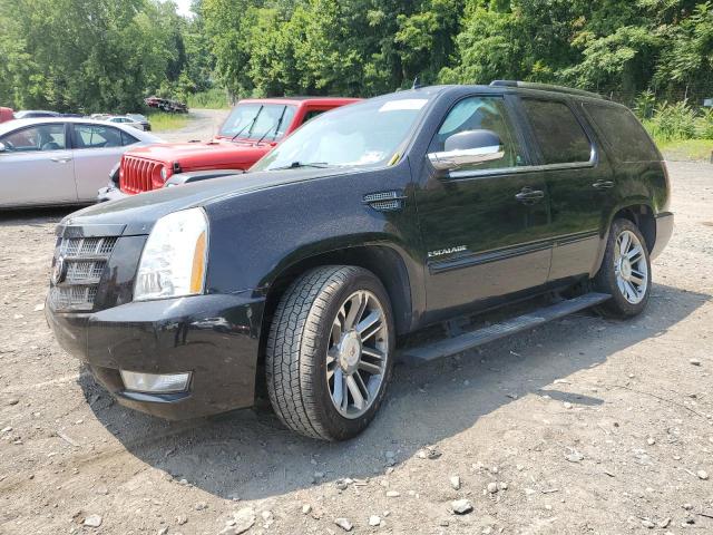 1GYS4CEF6DR268087 - 2013 CADILLAC ESCALADE PREMIUM BLACK photo 1