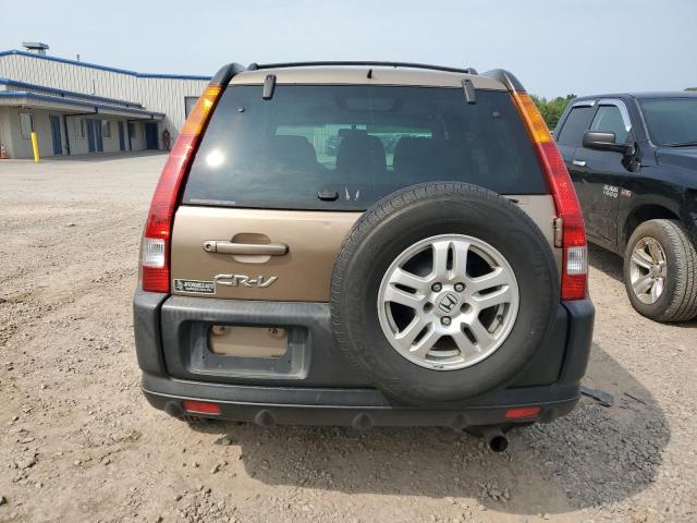 SHSRD78814U230886 - 2004 HONDA CR-V EX TAN photo 6