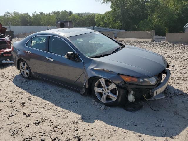 JH4CU2F65AC018551 - 2010 ACURA TSX ნაცრისფერი ფოტო 4