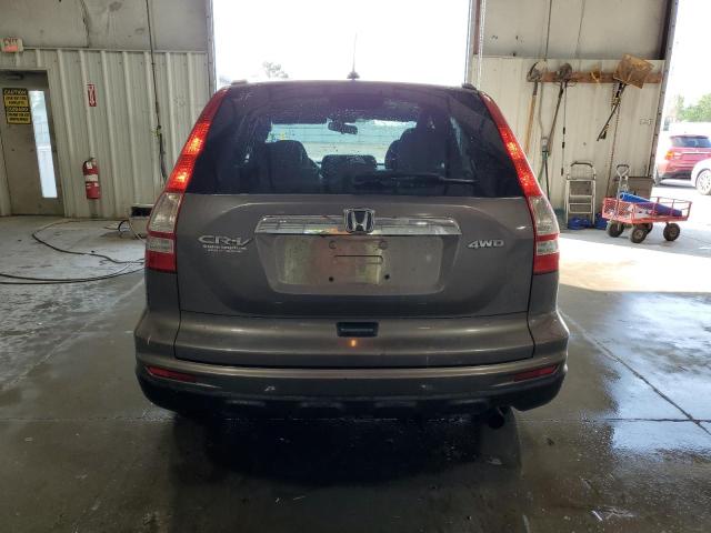 5J6RE4H72AL072829 - 2010 HONDA CR-V EXL BROWN photo 6