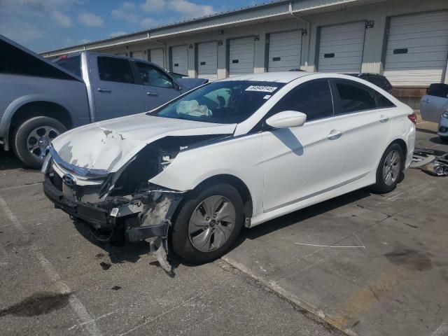 2014 HYUNDAI SONATA GLS, null