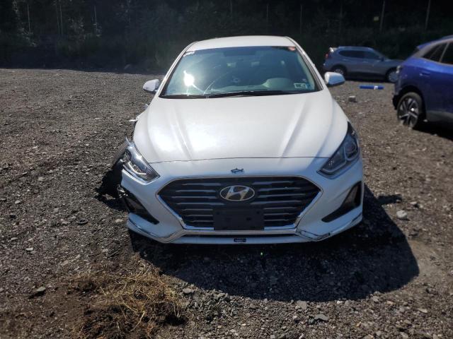 5NPE24AF4KH810828 - 2019 HYUNDAI SONATA SE WHITE photo 5
