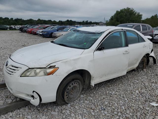 4T1BE46K09U833406 - 2009 TOYOTA CAMRY BASE WHITE photo 1