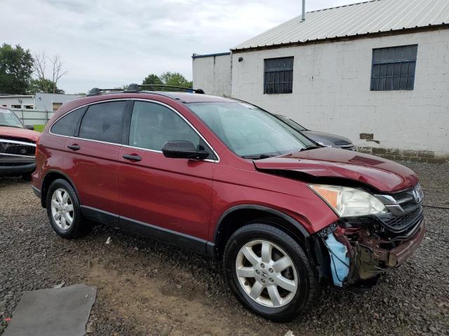 5J6RE4H44BL068045 - 2011 HONDA CR-V SE BURGUNDY photo 4