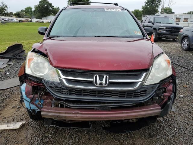 5J6RE4H44BL068045 - 2011 HONDA CR-V SE BURGUNDY photo 5