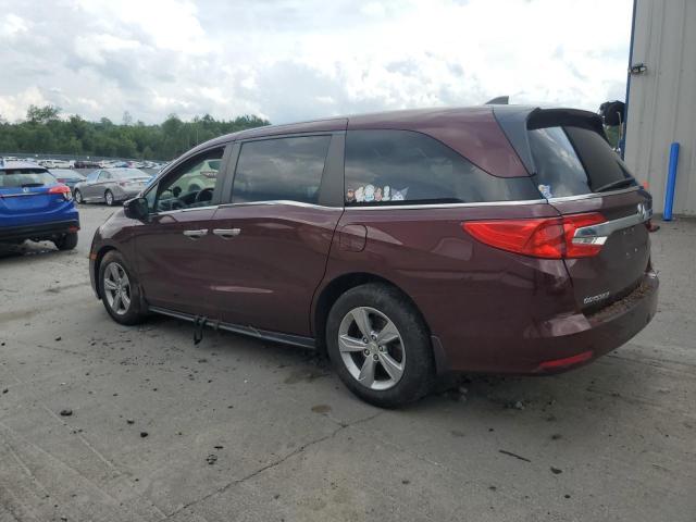 5FNRL6H74JB072406 - 2018 HONDA ODYSSEY EXL Բորդո լուսանկար 2