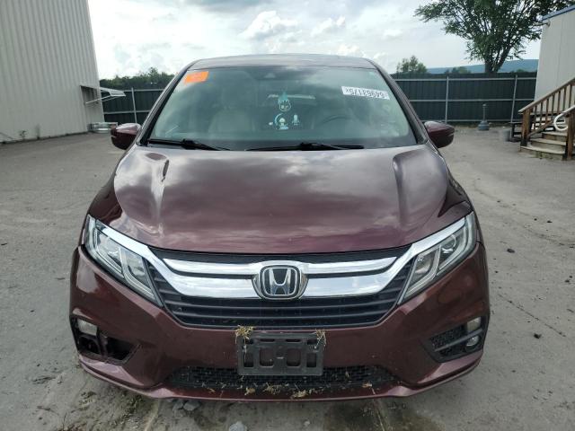 5FNRL6H74JB072406 - 2018 HONDA ODYSSEY EXL Բորդո լուսանկար 5