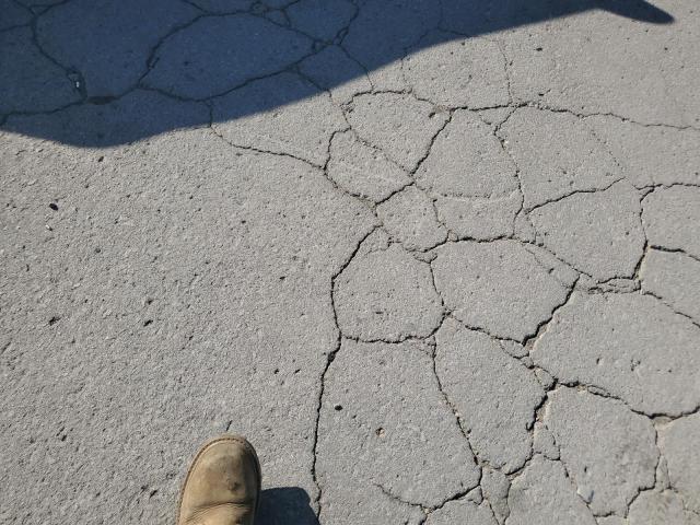 2021 TOYOTA COROLLA LE, 