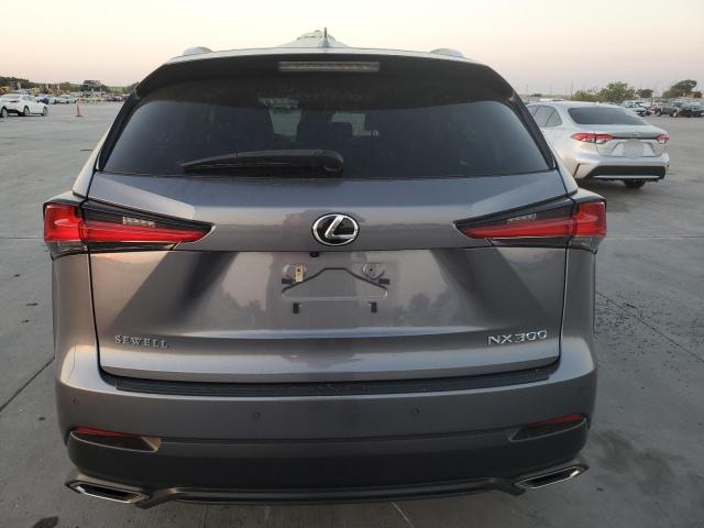 JTJDARBZ0M2182322 - 2021 LEXUS NX 300 BASE Boz foto 6