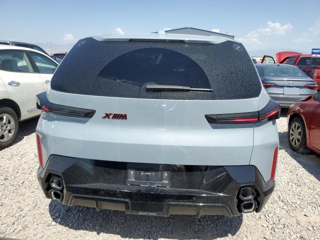 5YM33CS02R9U64488 - 2024 BMW XM LABEL Boz foto 6