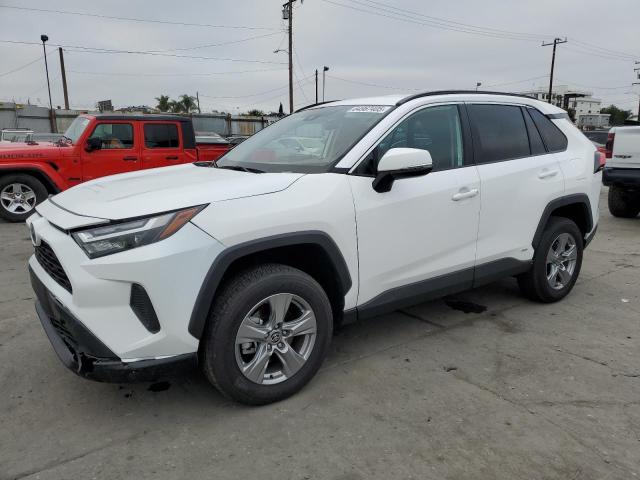 2024 TOYOTA RAV4 XLE, null