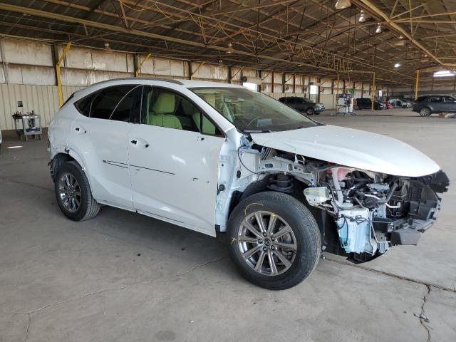 JTJAARBZ4L5012125 - 2020 LEXUS NX 300 BASE თეთრი ფოტო 4
