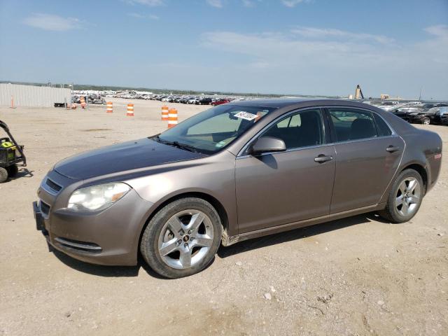 1G1ZC5E05AF176375 - 2010 CHEVROLET MALIBU 1LT 棕色 照片 1