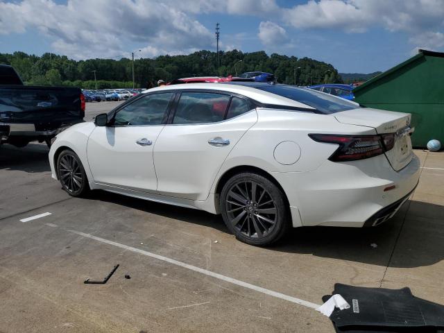 1N4AA6AV2KC373837 - 2019 NISSAN MAXIMA S Weiß Foto 2