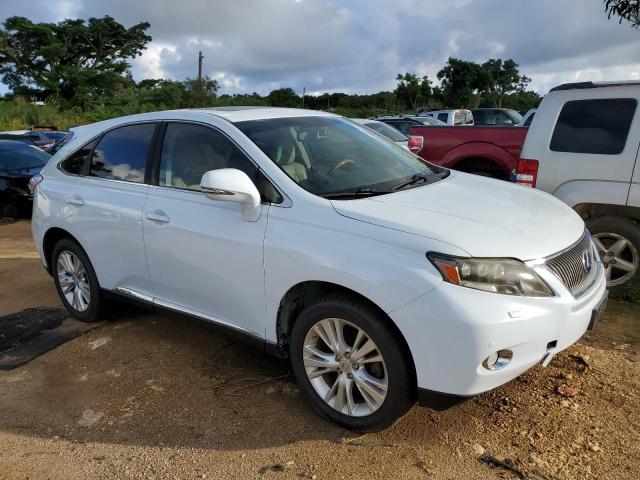 JTJZB1BAXA2003715 - 2010 LEXUS RX 450 WHITE photo 4