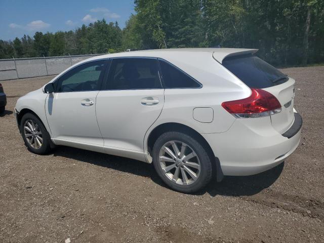 4T3BA3BBXBU025699 - 2011 TOYOTA VENZA WHITE photo 2