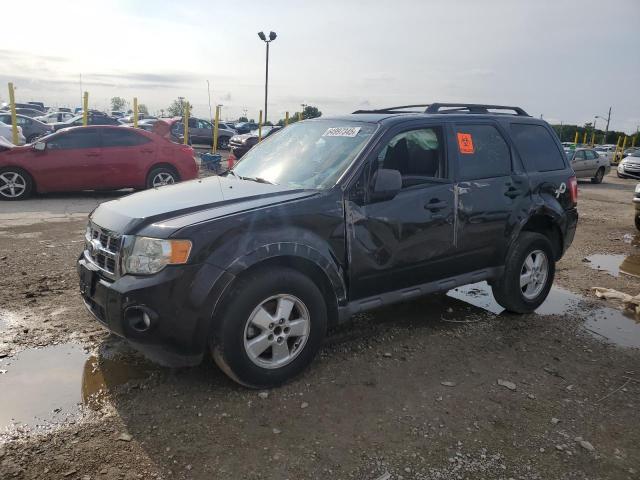 2010 FORD ESCAPE XLT, 