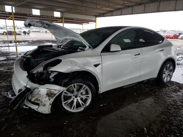 5YJYGDEEXMF096639 - 2021 TESLA MODEL Y WHITE photo 1