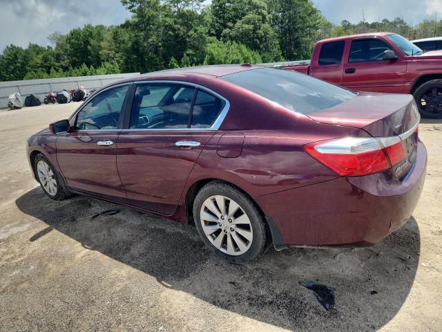 1HGCR2F80DA213642 - 2013 HONDA ACCORD EXL მუქწითელი ფოტო 2