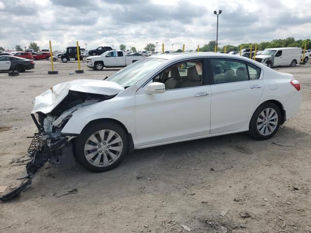 1HGCR2F89DA001466 - 2013 HONDA ACCORD EXL Weiß Foto 2