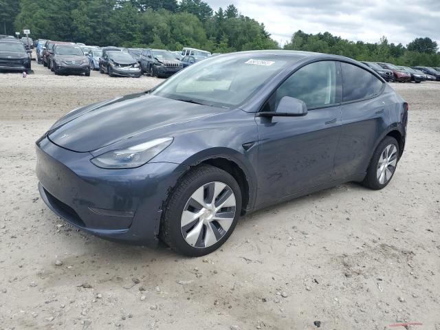 2023 TESLA MODEL Y, 