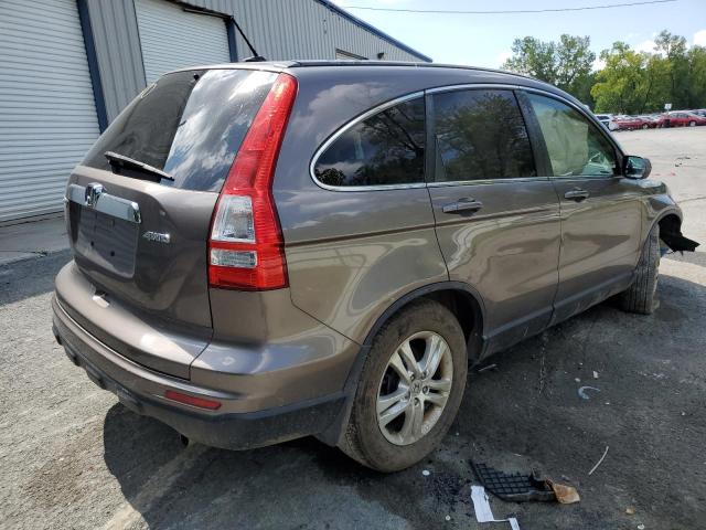 5J6RE4H73BL018926 - 2011 HONDA CR-V EXL GRAY photo 3